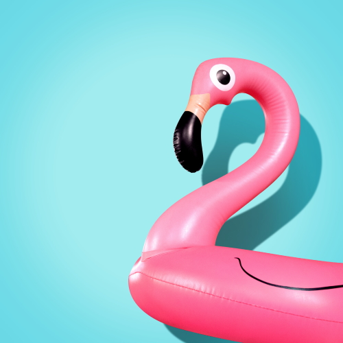 Image of inflatable flamingo