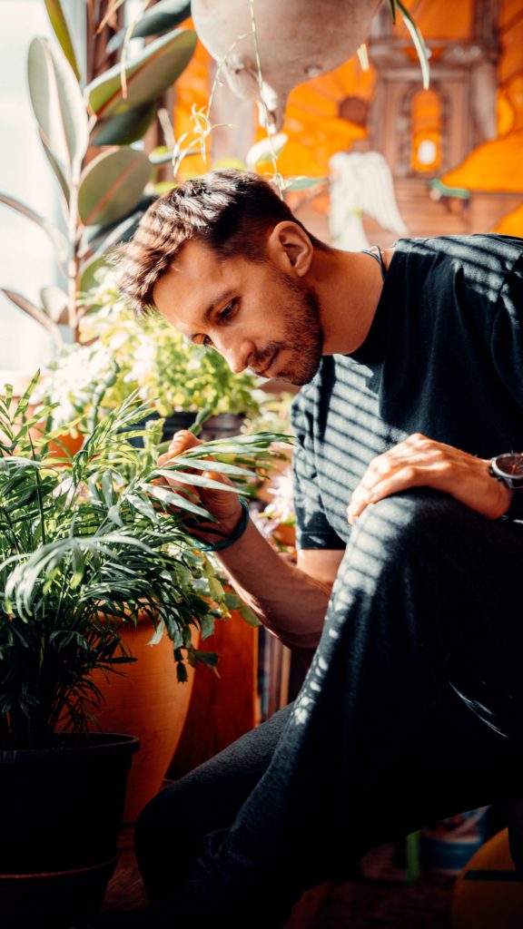 Image of young man tending to a leafy plant in a pot