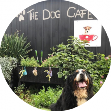 Dog Cafe logo